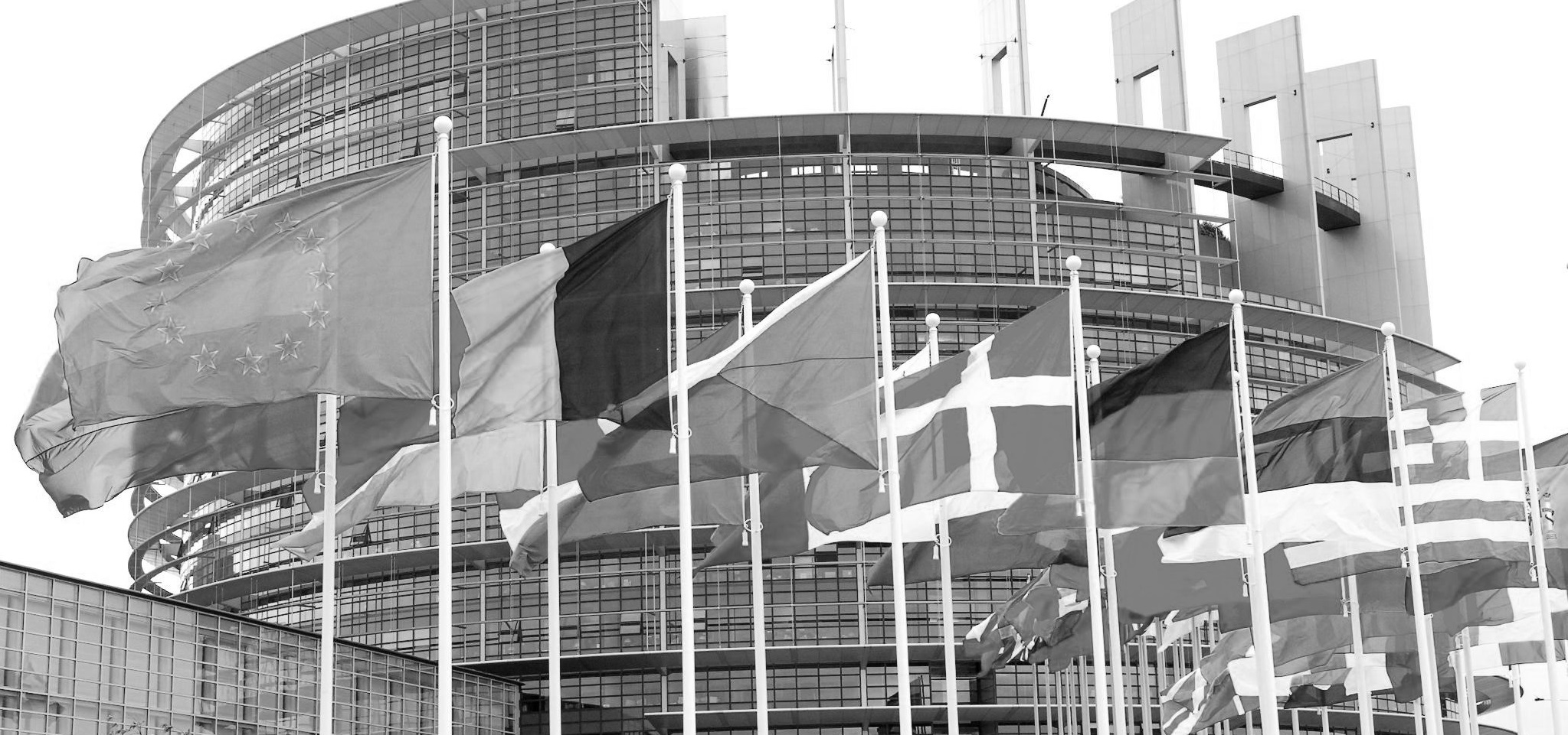 Newsalert - Obblighi di copertura minimi per le nuove NPE: la proposta di Regolamento UE
