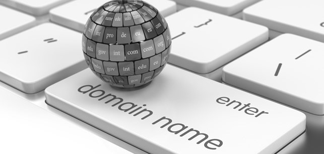 Newsletter - “Cybersquatting”: quali soluzioni per i titolari dei nomi a dominio?