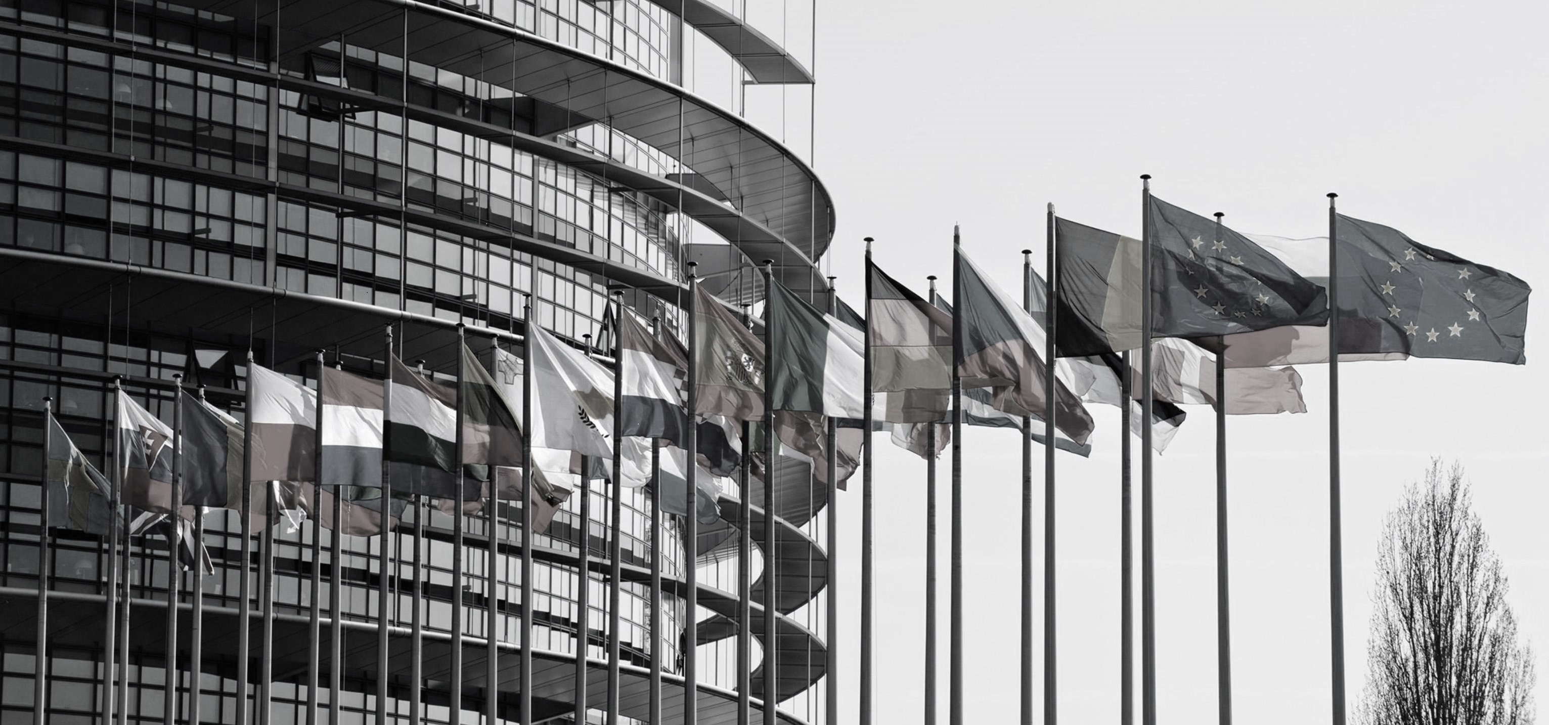 Newsalert - Legge di Delegazione Europea 2019: principi per il recepimento del Securitisation Regulation e della Direttiva Covered Bonds
